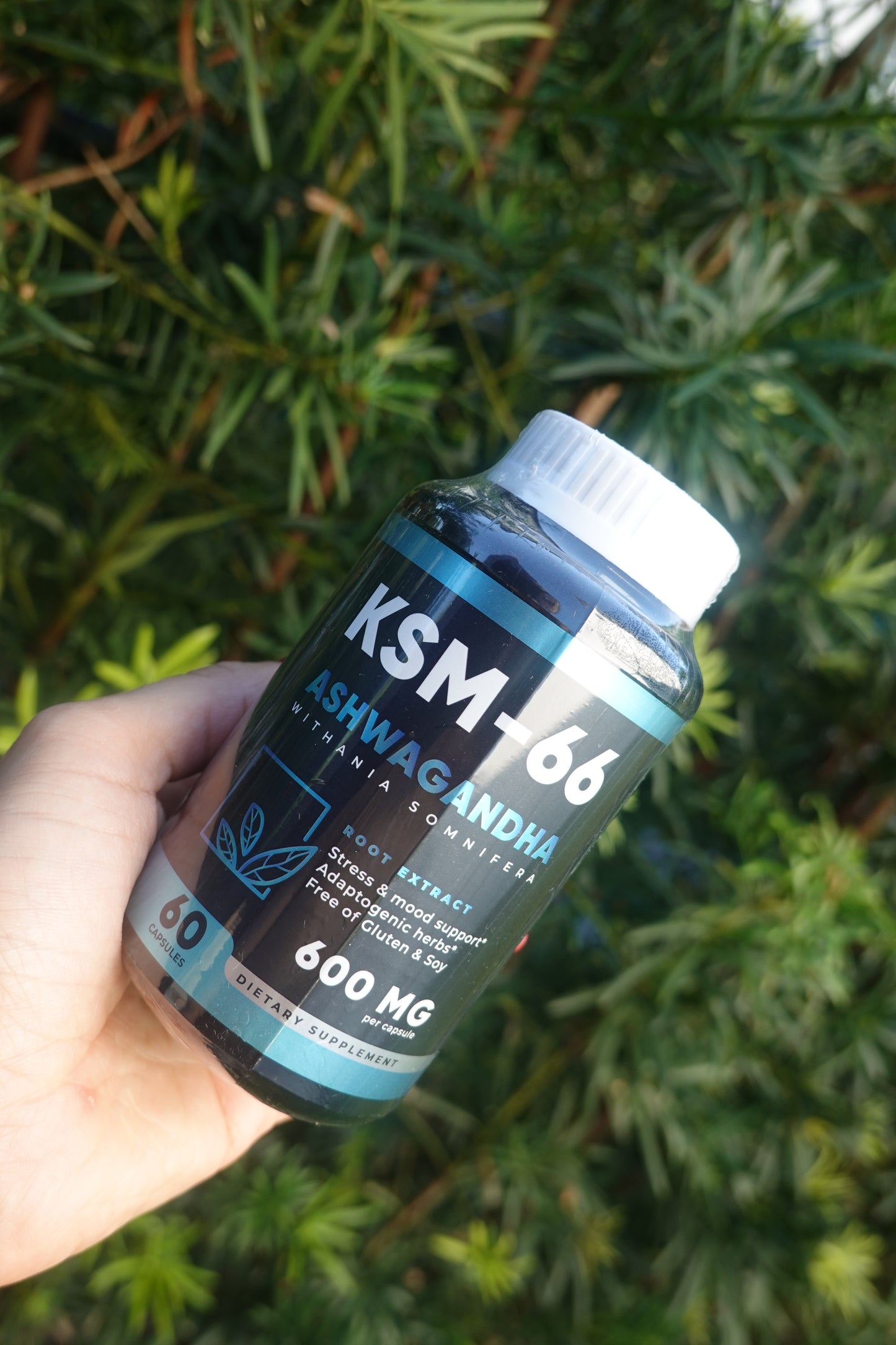 Ashwagandha KSM-66
