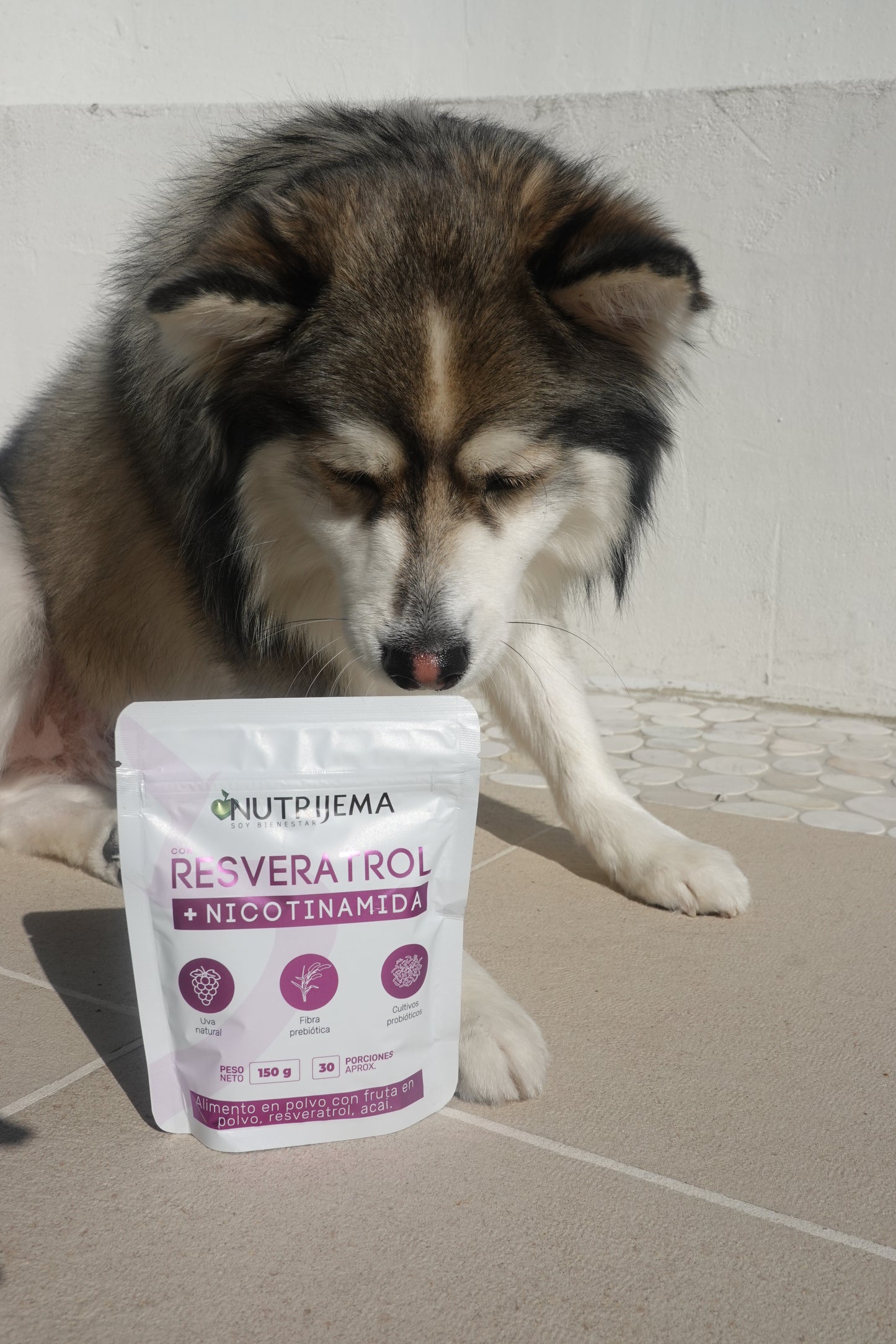 Antioxidant Powder with Resveratrol & Nicotinamide